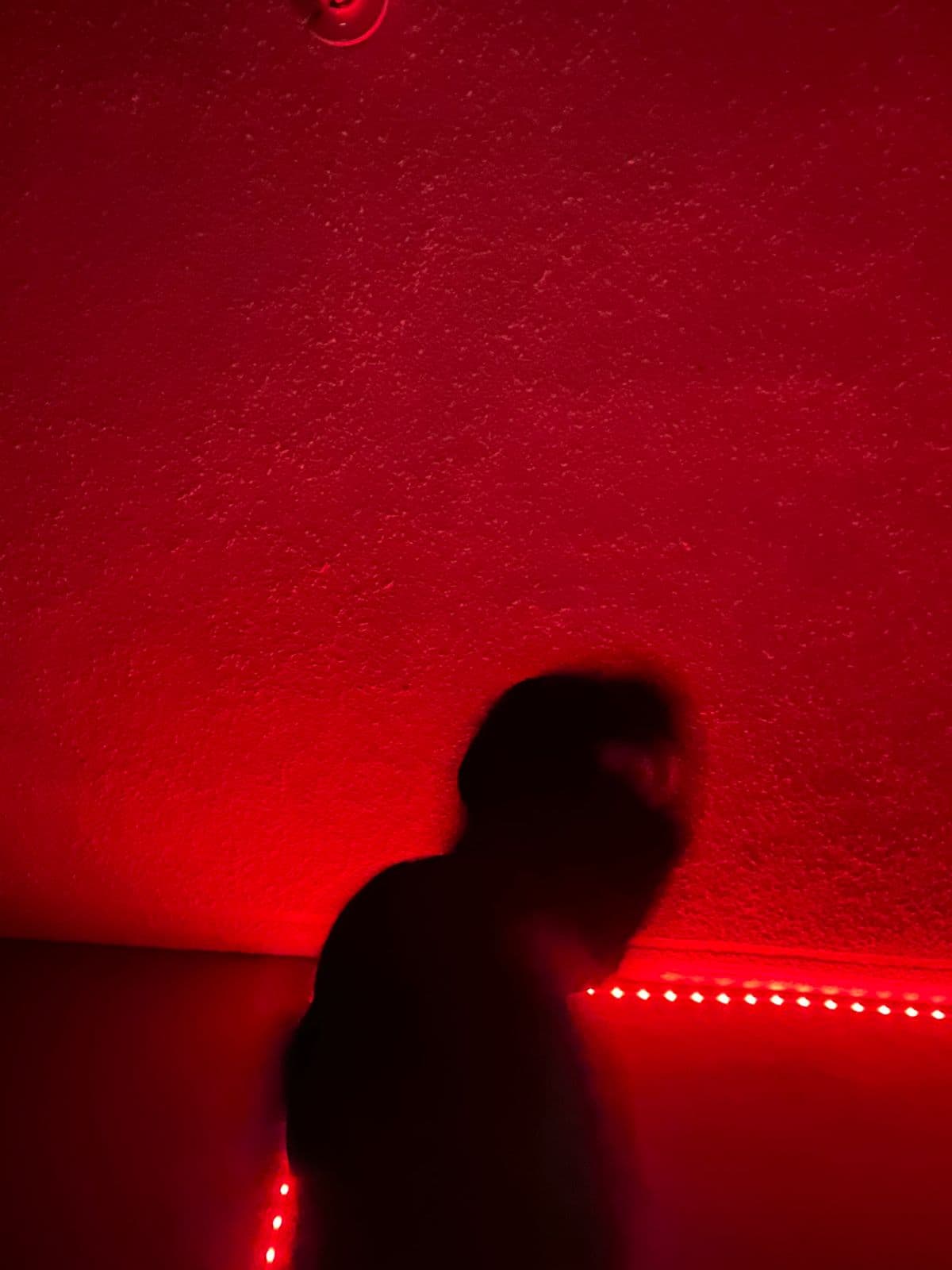 LXNXLY